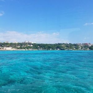 Meet your Posher, Jacqueline